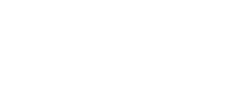 Sparrowhawk Logo